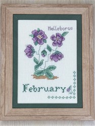 February - A Month in the Garden