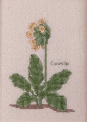 Cowslip