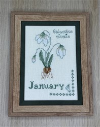 January - A Month in the Garden
